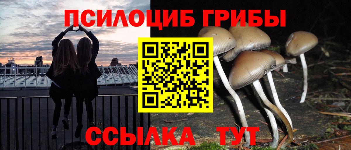 Галлюциногенные грибы мицелий  Галлюциногенные грибы GOLDEN TEACHER  Оренбург  Вход с VPN 
